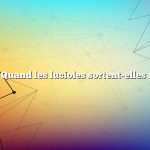 Question : Quand les lucioles sortent-elles au Texas ?